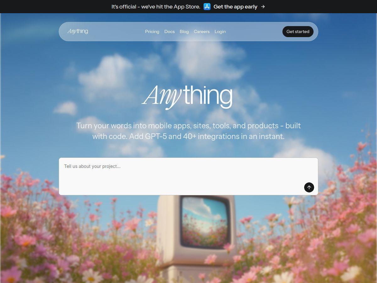 Anything